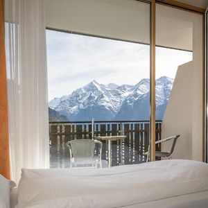 Superior Dreibettzimmer